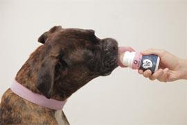 Pet Drink y +Castro crearon un snack líquido para mascotas